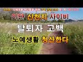 첨부된 유튜브 동영상