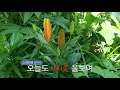 첨부된 유튜브 동영상