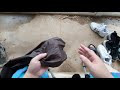 첨부된 유튜브 동영상