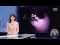 첨부된 유튜브 동영상