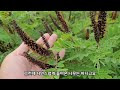 첨부된 유튜브 동영상
