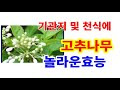 첨부된 유튜브 동영상