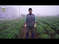 첨부된 유튜브 동영상