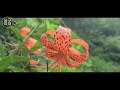 첨부된 유튜브 동영상