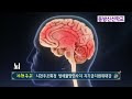 첨부된 유튜브 동영상