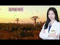 첨부된 유튜브 동영상