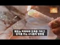첨부된 유튜브 동영상
