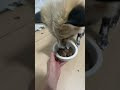 첨부된 유튜브 동영상