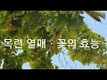 첨부된 유튜브 동영상