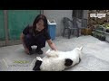 첨부된 유튜브 동영상