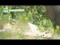 첨부된 유튜브 동영상