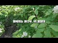 첨부된 유튜브 동영상