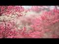 첨부된 유튜브 동영상