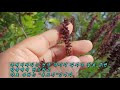 첨부된 유튜브 동영상