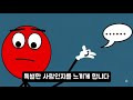 첨부된 유튜브 동영상