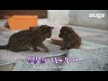 첨부된 유튜브 동영상