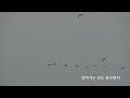 첨부된 유튜브 동영상