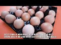 첨부된 유튜브 동영상