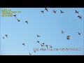 첨부된 유튜브 동영상