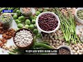 첨부된 유튜브 동영상