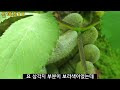 첨부된 유튜브 동영상
