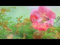 첨부된 유튜브 동영상