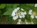 첨부된 유튜브 동영상