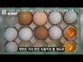 첨부된 유튜브 동영상