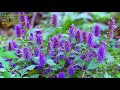 첨부된 유튜브 동영상