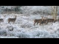 첨부된 유튜브 동영상