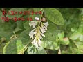 첨부된 유튜브 동영상