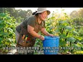 첨부된 유튜브 동영상