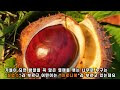 첨부된 유튜브 동영상