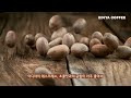 첨부된 유튜브 동영상