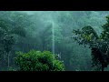 첨부된 유튜브 동영상