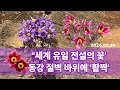 첨부된 유튜브 동영상