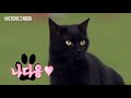 첨부된 유튜브 동영상