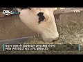 첨부된 유튜브 동영상