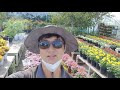첨부된 유튜브 동영상