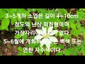 첨부된 유튜브 동영상