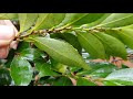 첨부된 유튜브 동영상