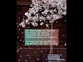 첨부된 유튜브 동영상