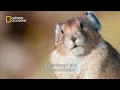 첨부된 유튜브 동영상