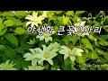 첨부된 유튜브 동영상