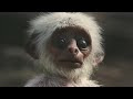 첨부된 유튜브 동영상