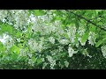 첨부된 유튜브 동영상