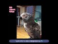 첨부된 유튜브 동영상
