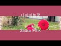 첨부된 유튜브 동영상