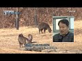첨부된 유튜브 동영상