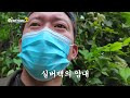 첨부된 유튜브 동영상